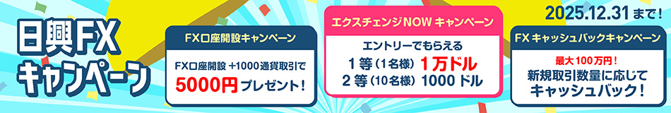 ����FX�L�����y�[��