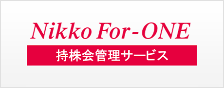 Nikko For-ONE ǗT[rX