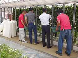 �t�@�[�����C�̗l�q