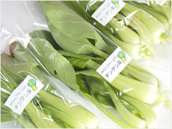 �݂��t�@�[���̖��