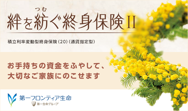 �J��a���I�g�ی�Ⅱ