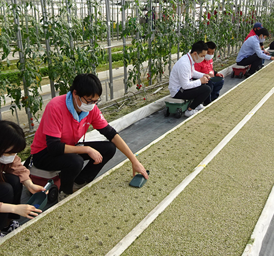 みらんファームの様子