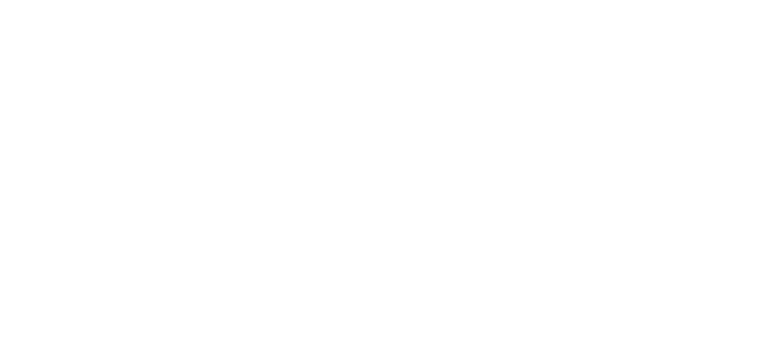 SMBC NIKKO 1Day Job 2020